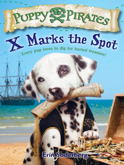 Title details for X Marks the Spot by Erin Soderberg - Wait list